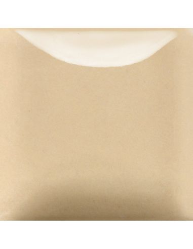 FN059 EMAIL OPAQUE BRILLANT CASHMERE