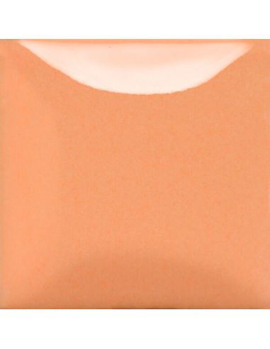 SC102 COULEUR A PEINDRE JUST PEACHY